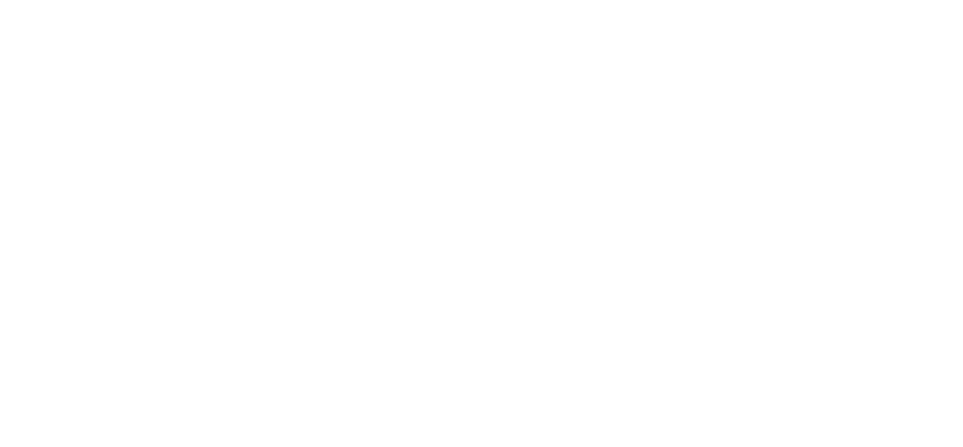 Berti Asansör Logo